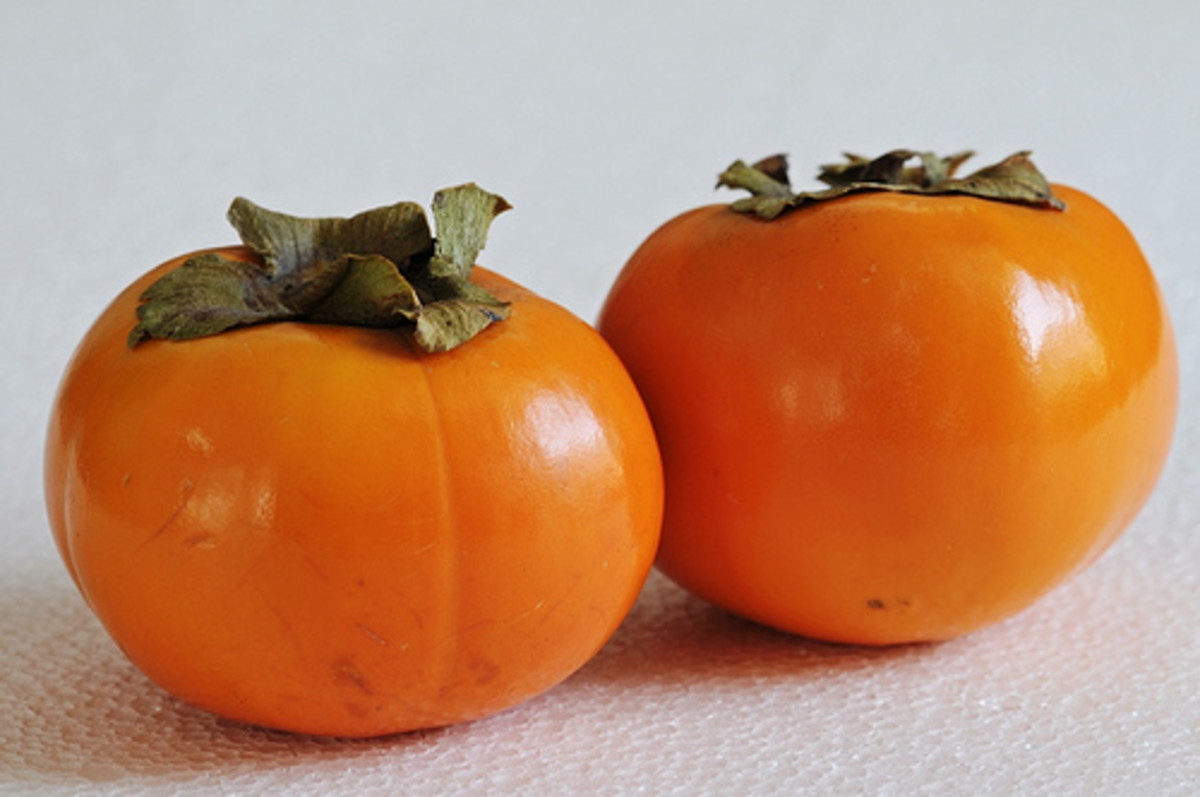 Persimmons: Astringent, Sweet, Dried and Fresh
