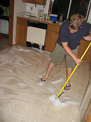 The cleanup by aporter flickr