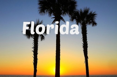Teen tpg porn Florida guide move south suck travel