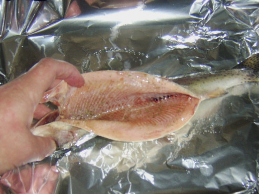 Seasoning trout cavity with salt and white pepper