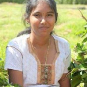 Nithya Sree profile image