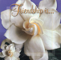Friendship – 40th Word in the “Good Words