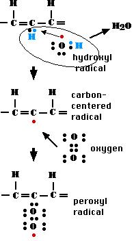 Fig. E. formation of free radical