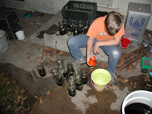Then we made two batches, the one with untreated water as a control group and the others with humates added. Grown under controlled lighting, all other factors being equal, the plants with humates added grew 40% faster than the controls.