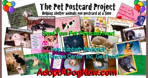 Sabbath Memorial Dog Rescue Center, Inc. 305-799-1567 Robbie Coy Founder. Call To Donate Today! Visit AdoptADogNow.com