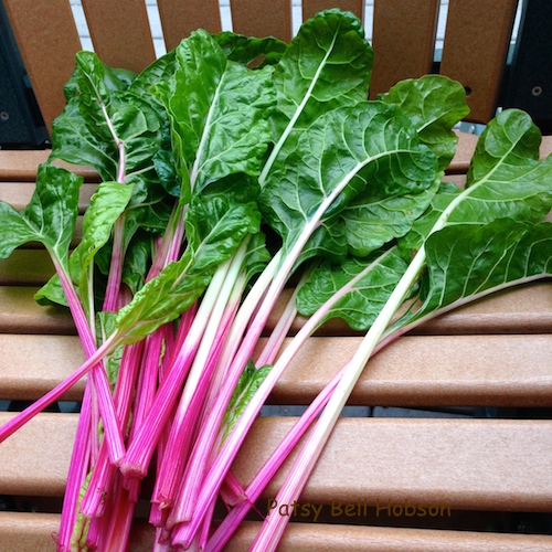 Peppermint stick chard is a Renee's Garden exclusive. Add baby leaves to mixed greens salad.