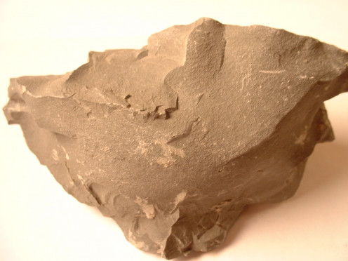 Argillite fragment