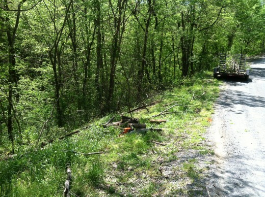 And I started cutting trees and brush from along the road right-or-way.