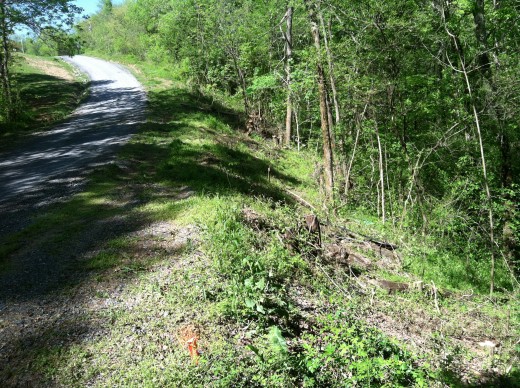 Quite a bit to go to get to the top of the hill.