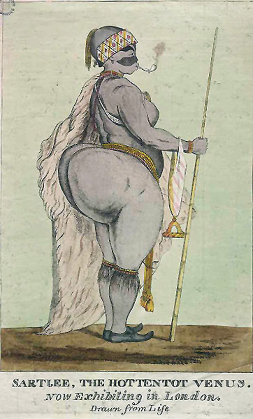 Another drawing of the "Hottentot Venus"