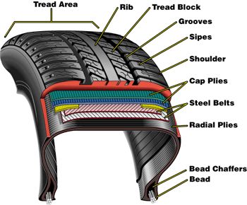 http://www.rowleystires.com/images/TireConstruction.jpg