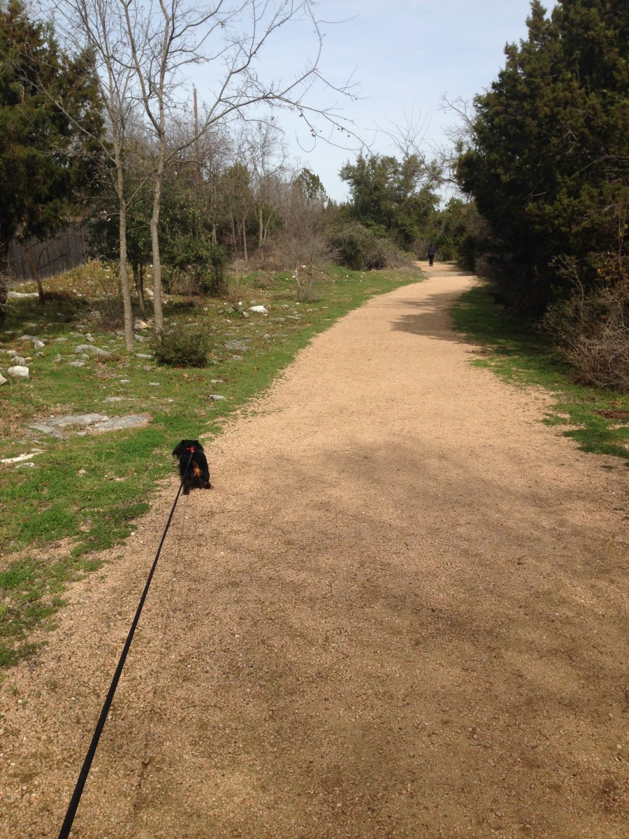 Cat Hollow Park Round Rock TX - Walking and Running Trail
