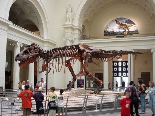 Denver museum of natural history