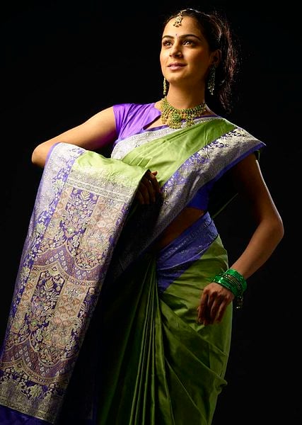 Traditional Indian Saree [Traditional dress]