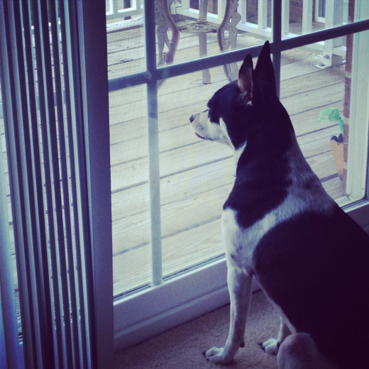 "I want their life."