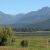 The Columbia River Wetlands are an important waterfowl nesting area. The Columbia River Wetlands are an important waterfowl nesting area.