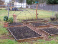 Wintertime on an Urban Farm