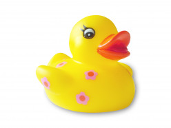If it looks like a duck, walks like a duck & quacks like a duck then it must be a duck