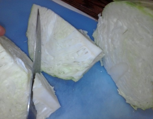 Figure 1-2. Quarter cabbage head. Remove core from each quarter cutting as shown.