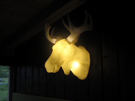 Moose head lamp