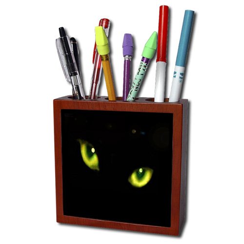 Find this on Amazon when you type in Sandy Mertens pen holders in the search or on 3DRose when you click on the Pen Holders link to the right of the page and search near the bottom of the page to find Sandy Mertens Halloween Cat Designs
