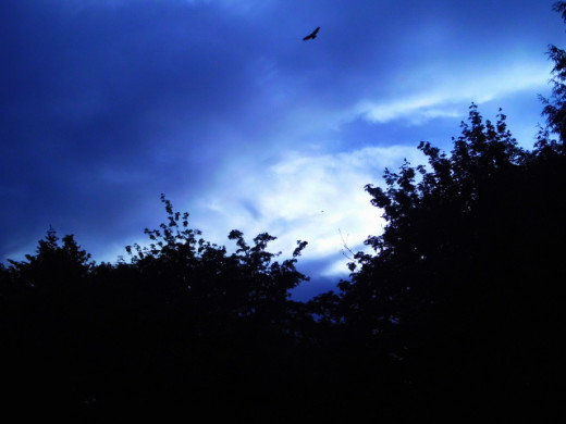 The storm is upon us.