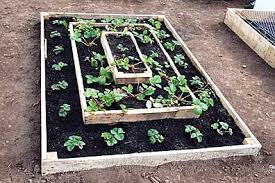 Raised-bed planting system