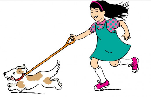Finding balance between you and your dog