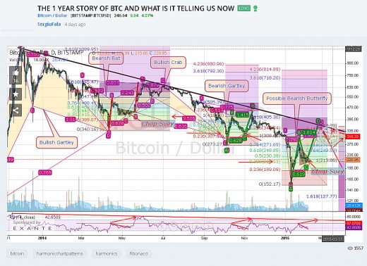It is part of the normal behavior of any market.  It is a combination of people's hope, and fear.  Up's and downs happen everywhere.  The question IS?  What kind of longer term future does it have?  And the answer is- HUGE FUTURE.  BTC will swing up-