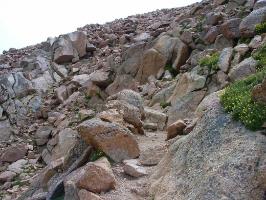 Finding the right path can be difficult (photo by Jeff Boesel)