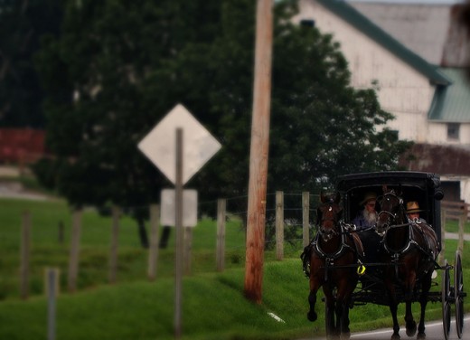 Amish Man and Boy Travelling By Buggy