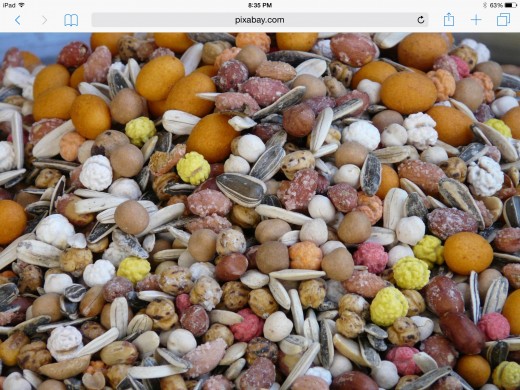A variety of wild bird seed mixture can attract a greater variety of different bird species