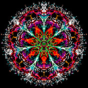 TheWind777 profile image