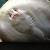 Kissy kiss.... Kissy kiss....