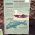 Biology and Habits. Seal or seal lions? Biology and Habits. Seal or seal lions?
