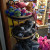 Seals, turtles, and sharks galore. Seals, turtles, and sharks galore.