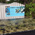 Giant Clam display Giant Clam display