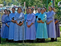 Amish or Mennonites? What is the difference? | hubpages