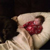 Brenda Chipman profile image