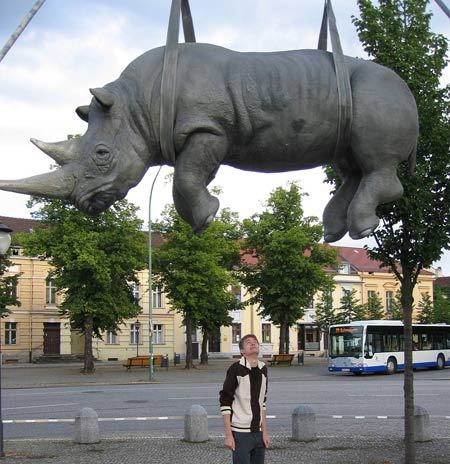 The Hanging Rhino(Potsdam,Germany)