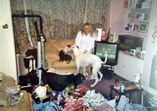 Me one Christmas Day morning, with Harley on the chair next to me and the dogs Bracken and Buster enjoying the wrapping paper!