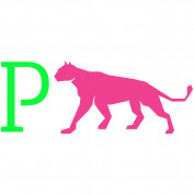 pvss1on profile image