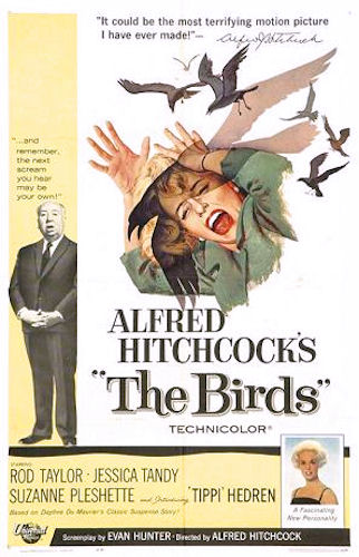 Movie poster for The Birds