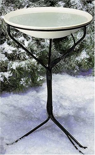 Birds rely on a a good drinking source more so during the winter months.  A basic stand with a rust proof basin is preferred.   And also one that will have room for a heater to keep it ice free during the colder days of the year.