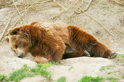 I want a cuddle now!