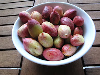 Fresh pistachios right from the tree (still in hulls)
