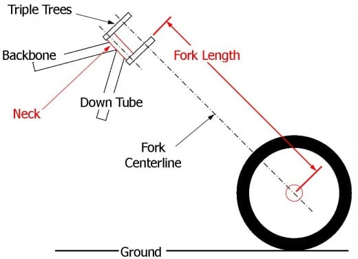 Measuring Fork Length Diagram