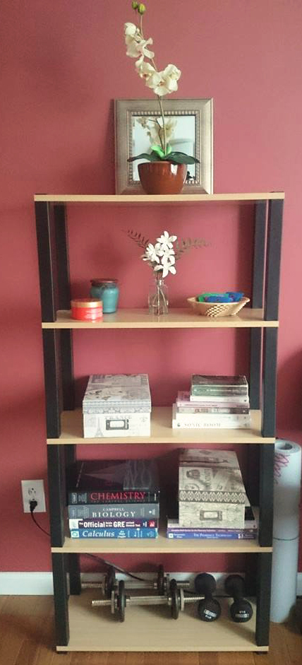 An organized bookshelf