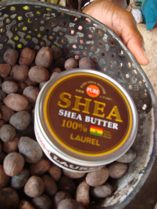 Many different types of lotions and creams are derived from the nuts of the shea tree.