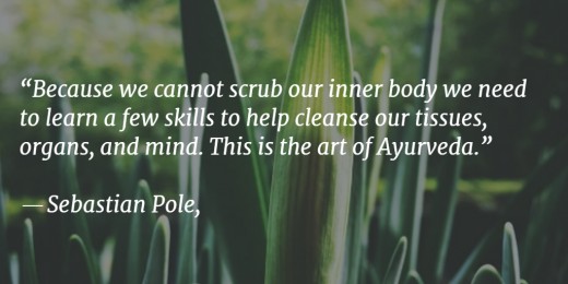 Ayurveda Quote